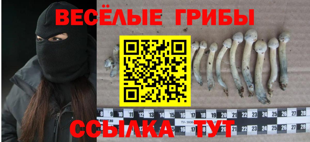 Галлюциногенные грибы MAGIC MUSHROOMS Новокубанск