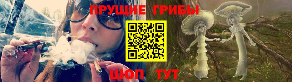 Новокубанск  Псилоцибиновые грибы MAGIC MUSHROOMS  Вход с VPN 